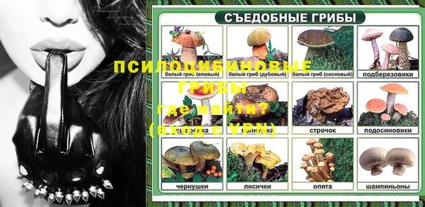 ПСИЛОЦИБИНОВЫЕ ГРИБЫ Баксан