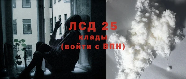 ПСИЛОЦИБИНОВЫЕ ГРИБЫ Баксан