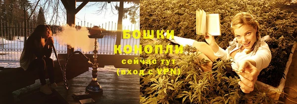 сатива Балахна
