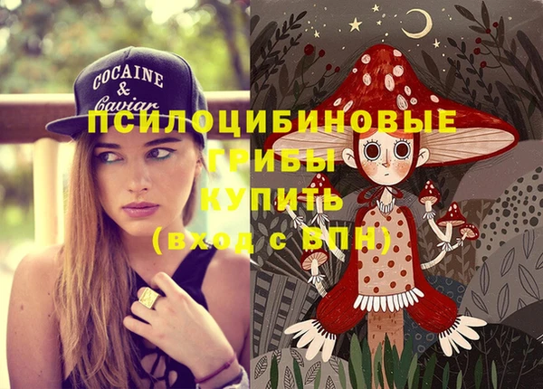 сатива Балахна