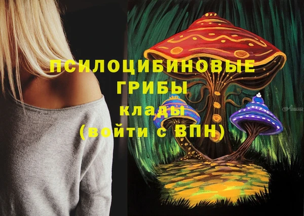 ПСИЛОЦИБИНОВЫЕ ГРИБЫ Баксан