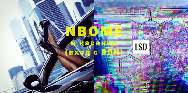 сатива Балахна