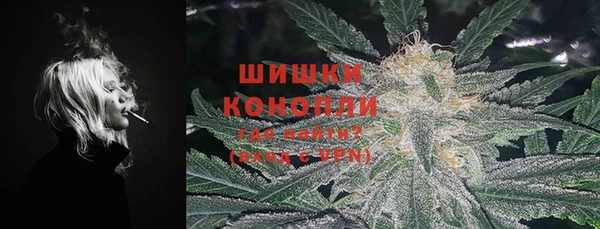 сатива Балахна