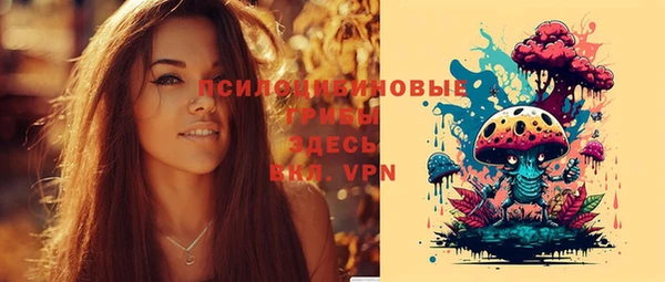ПСИЛОЦИБИНОВЫЕ ГРИБЫ Баксан