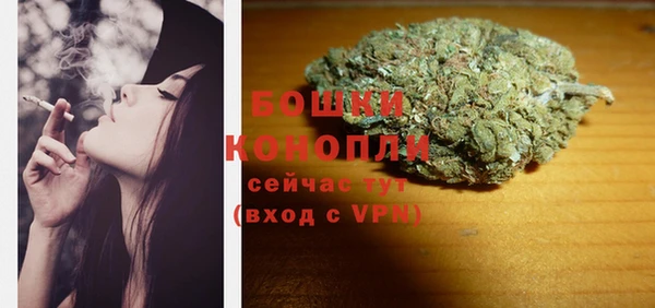 сатива Балахна