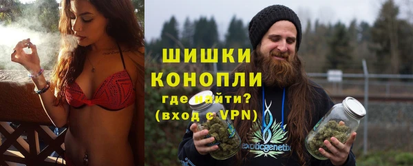 ПСИЛОЦИБИНОВЫЕ ГРИБЫ Баксан