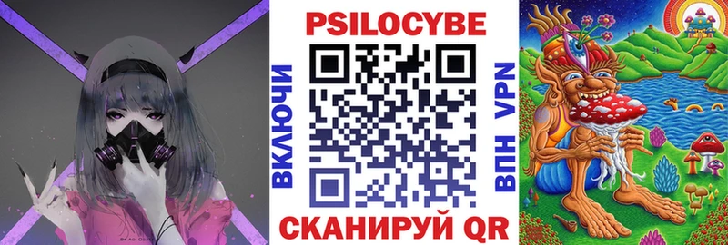 как найти закладки Верхнеуральск Галлюциногенные грибы Psilocybine cubensis